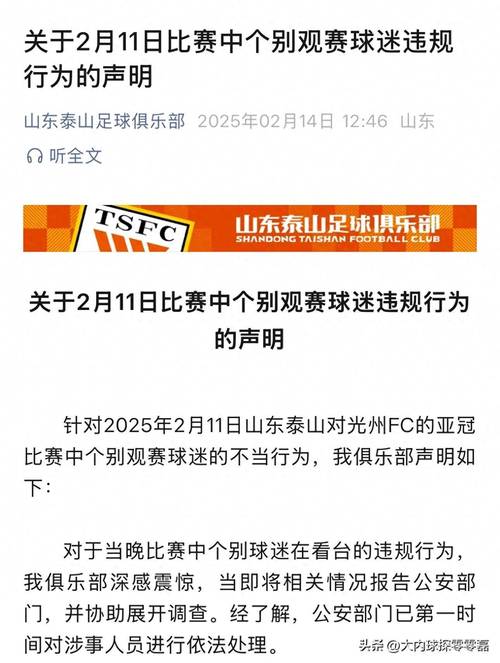 5月4日中超罚单：山东泰山外援克雷桑因不当言论被禁赛一场